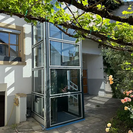 Klimatisierte Wohnung Mit Grosser Terrasse Deidesheim Exterior photo